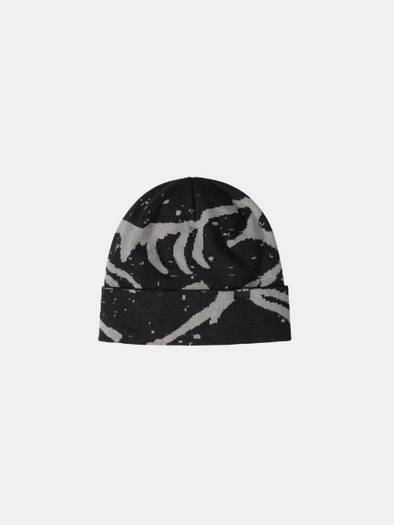 ARC'TERYX LIGHTWEIGHT GROTTO TOQUE 